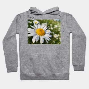 Daisy Hoodie